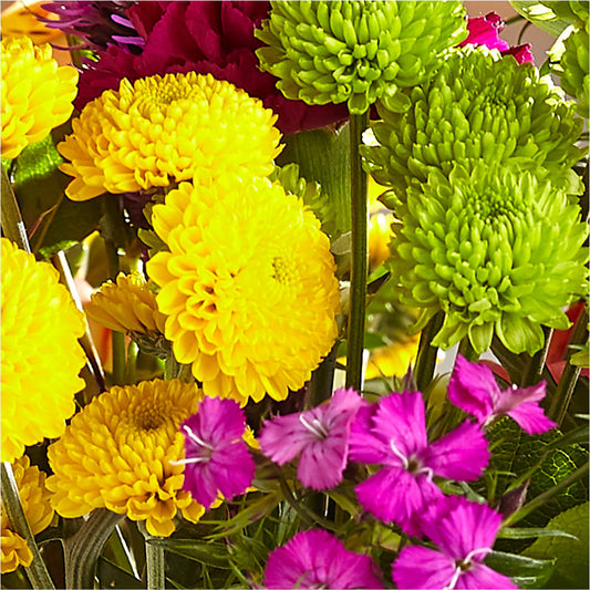 Bold & Bright – A Florist Original – LAKELINE FLORIST & GIFTS, Austin TX