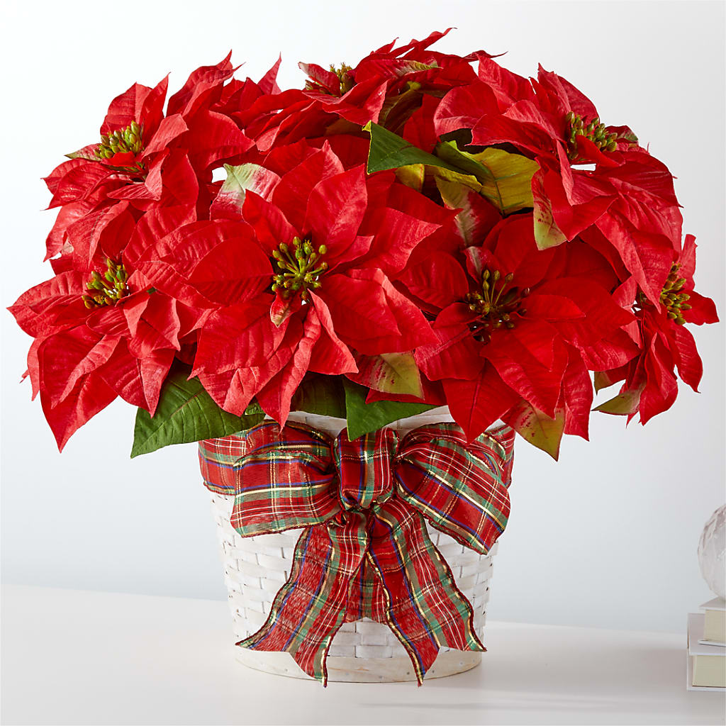 Happiest Holidays Poinsettia – LAKELINE FLORIST & GIFTS, Austin TX