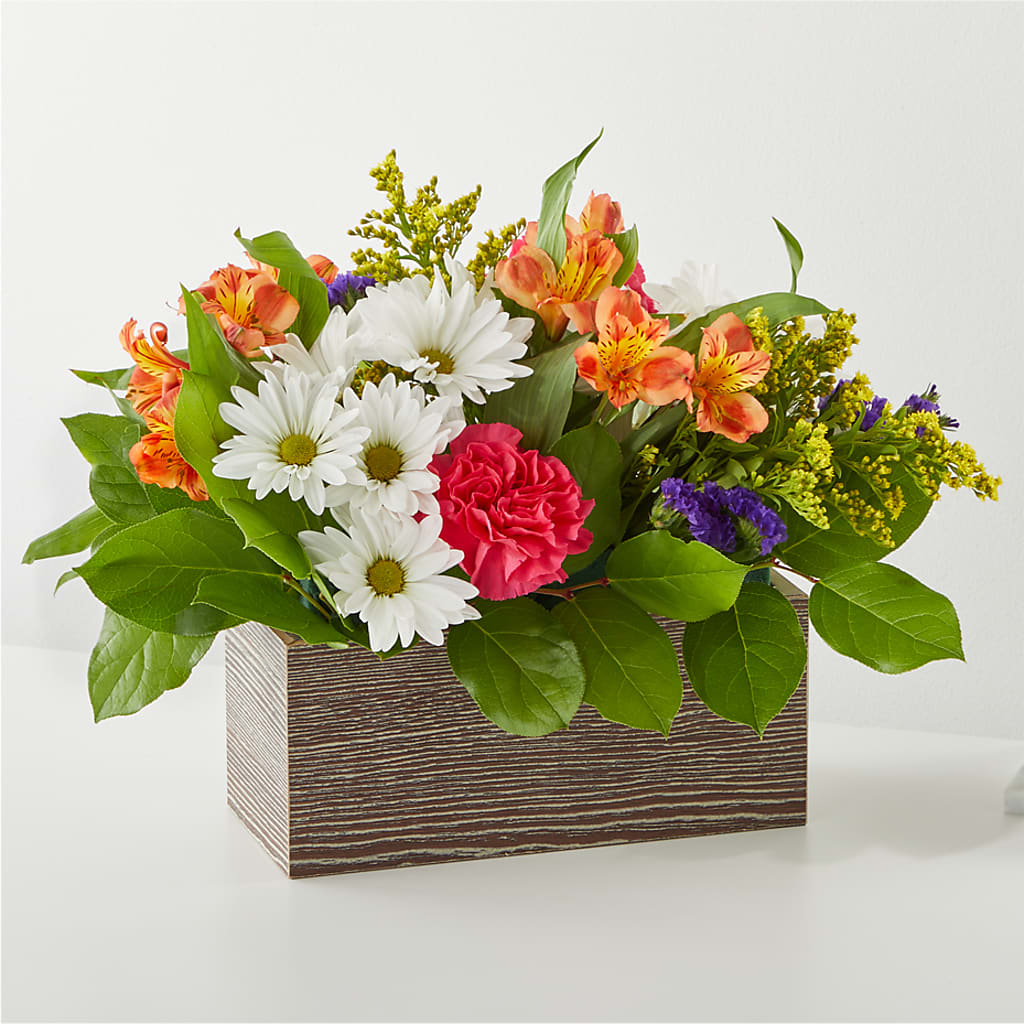 Oopsie Daisy Box Bouquet – LAKELINE FLORIST & GIFTS, Austin TX