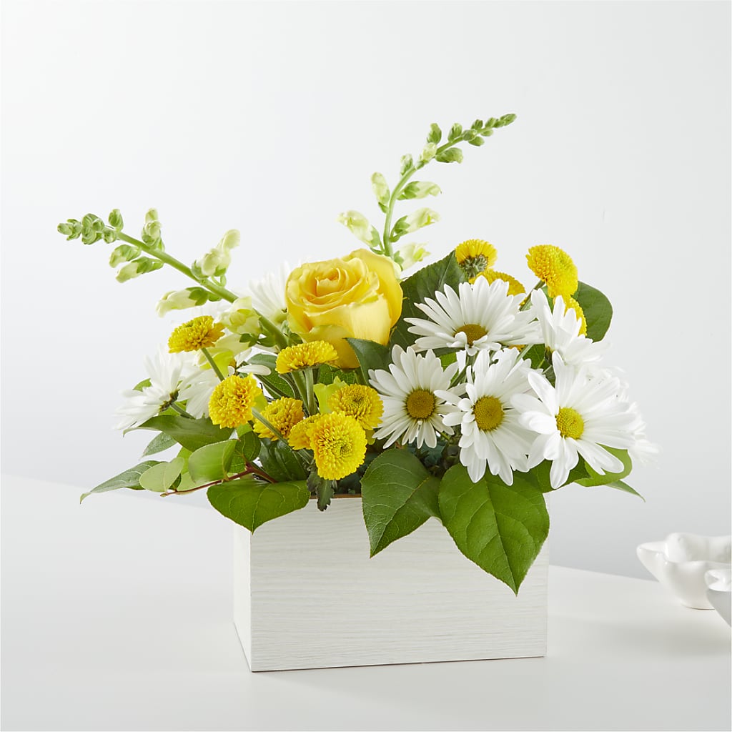 Sun Salutation Box Bouquet – LAKELINE FLORIST & GIFTS, Austin TX