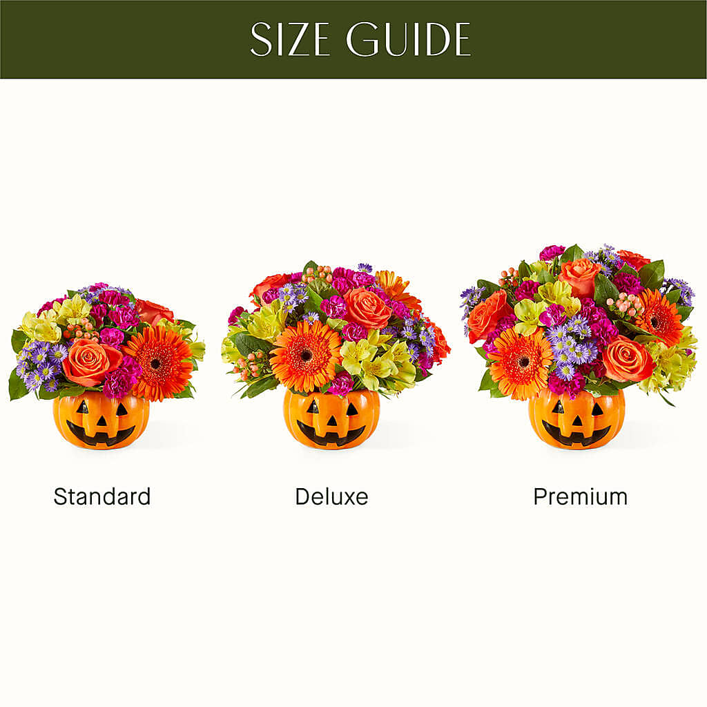 Tricks & Treats Pumpkin – LAKELINE FLORIST & GIFTS, Austin TX