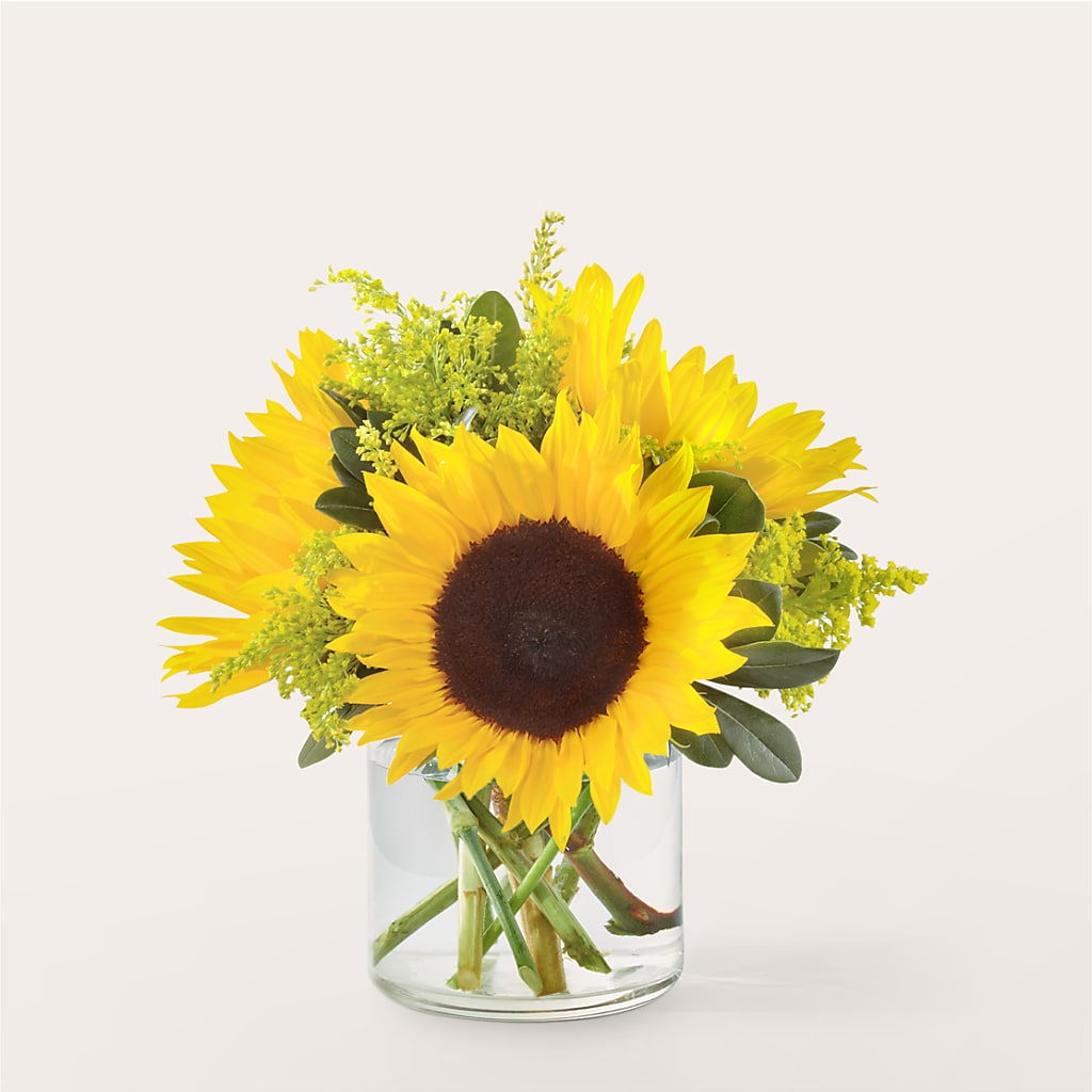 Beaming Sunflower Bouquet – LAKELINE FLORIST & GIFTS, Austin TX