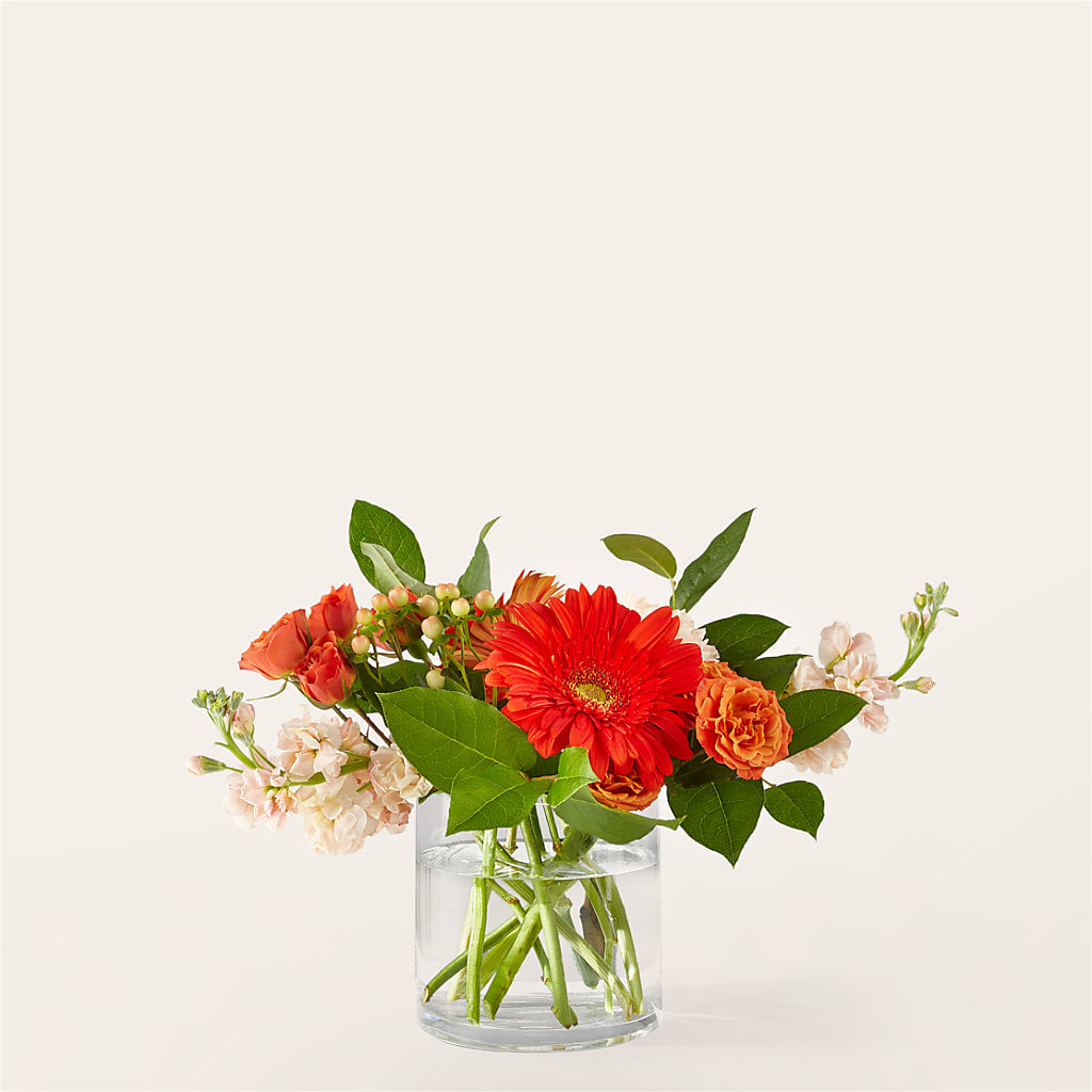 Paloma Please Bouquet – LAKELINE FLORIST & GIFTS, Austin TX