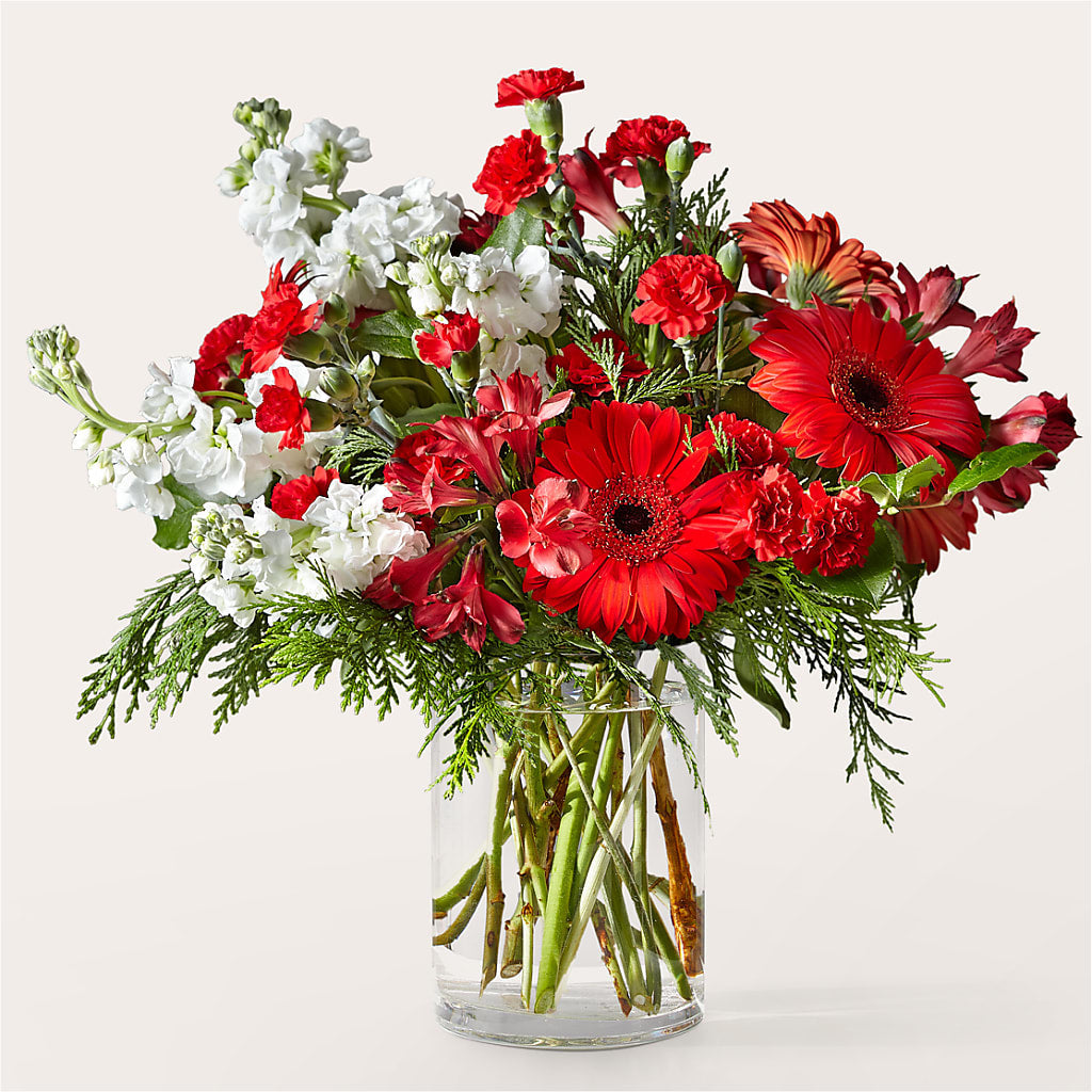 Holidaisy Bouquet – LAKELINE FLORIST & GIFTS, Austin TX