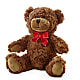 Adorable Plush Bear – LAKELINE FLORIST & GIFTS, Austin TX