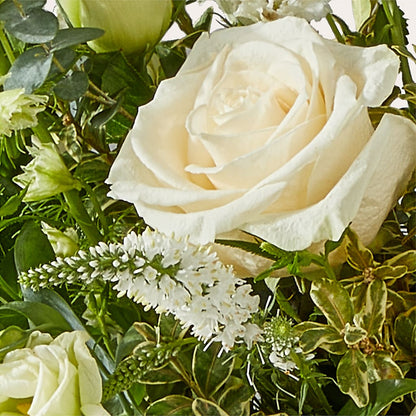 Cashmere Bouquet – LAKELINE FLORIST & GIFTS, Austin TX
