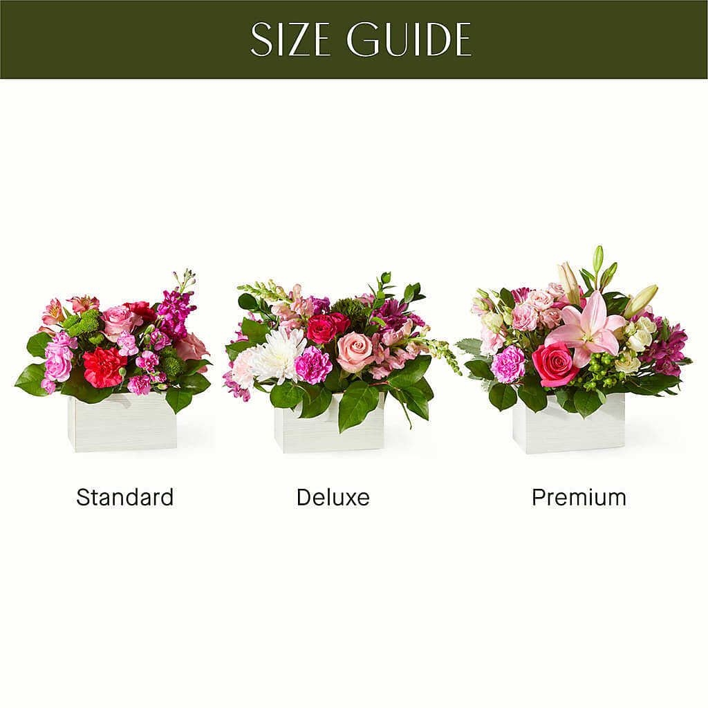 Sweetberry Box – A Florist Original – LAKELINE FLORIST & GIFTS, Austin TX