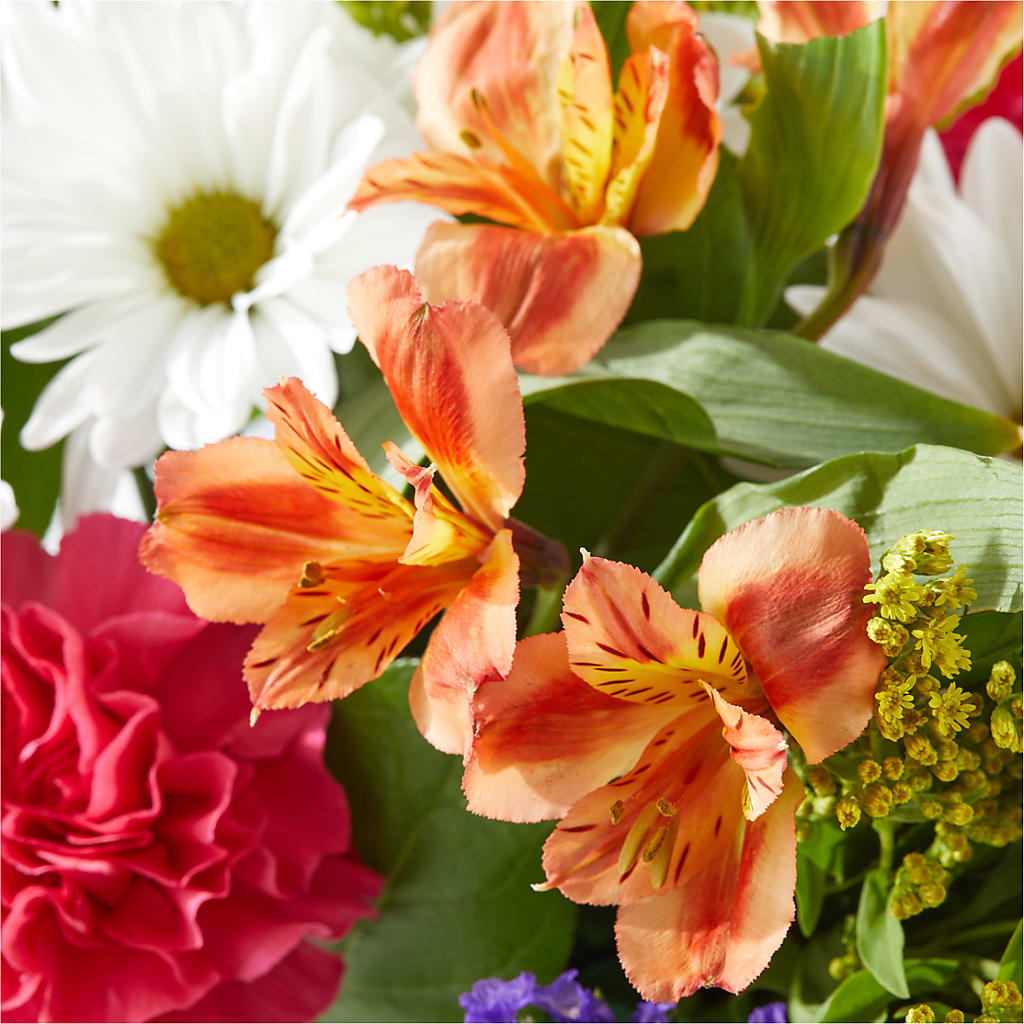 Oopsie Daisy Box Bouquet – LAKELINE FLORIST & GIFTS, Austin TX