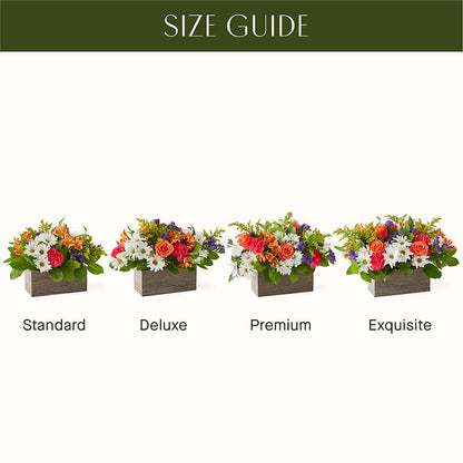 Oopsie Daisy Box Bouquet – LAKELINE FLORIST & GIFTS, Austin TX