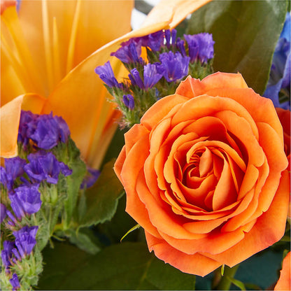 Radiant Citrus Box Bouquet – LAKELINE FLORIST & GIFTS, Austin TX