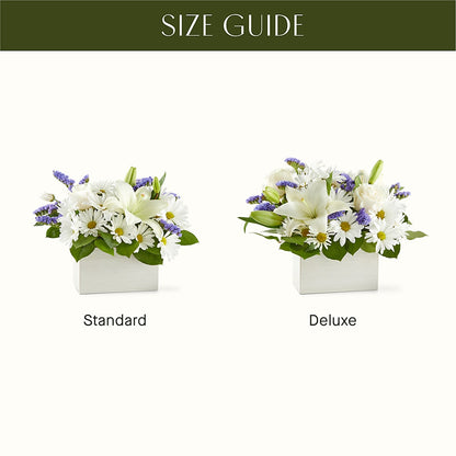 Beyond Blue Box Bouquet – LAKELINE FLORIST & GIFTS, Austin TX