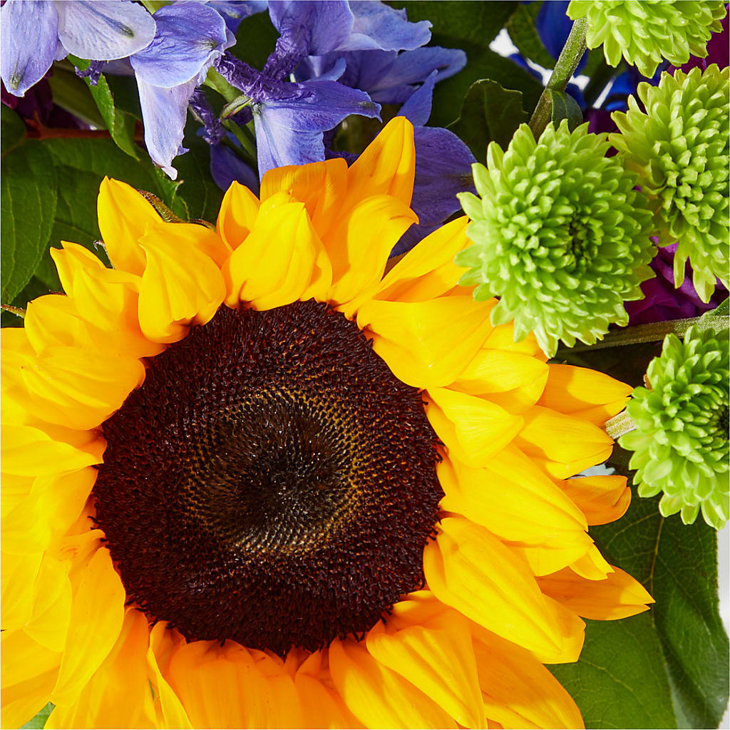 Catching Rays Bouquet – LAKELINE FLORIST & GIFTS, Austin TX