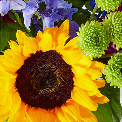 Catching Rays Bouquet – LAKELINE FLORIST & GIFTS, Austin TX