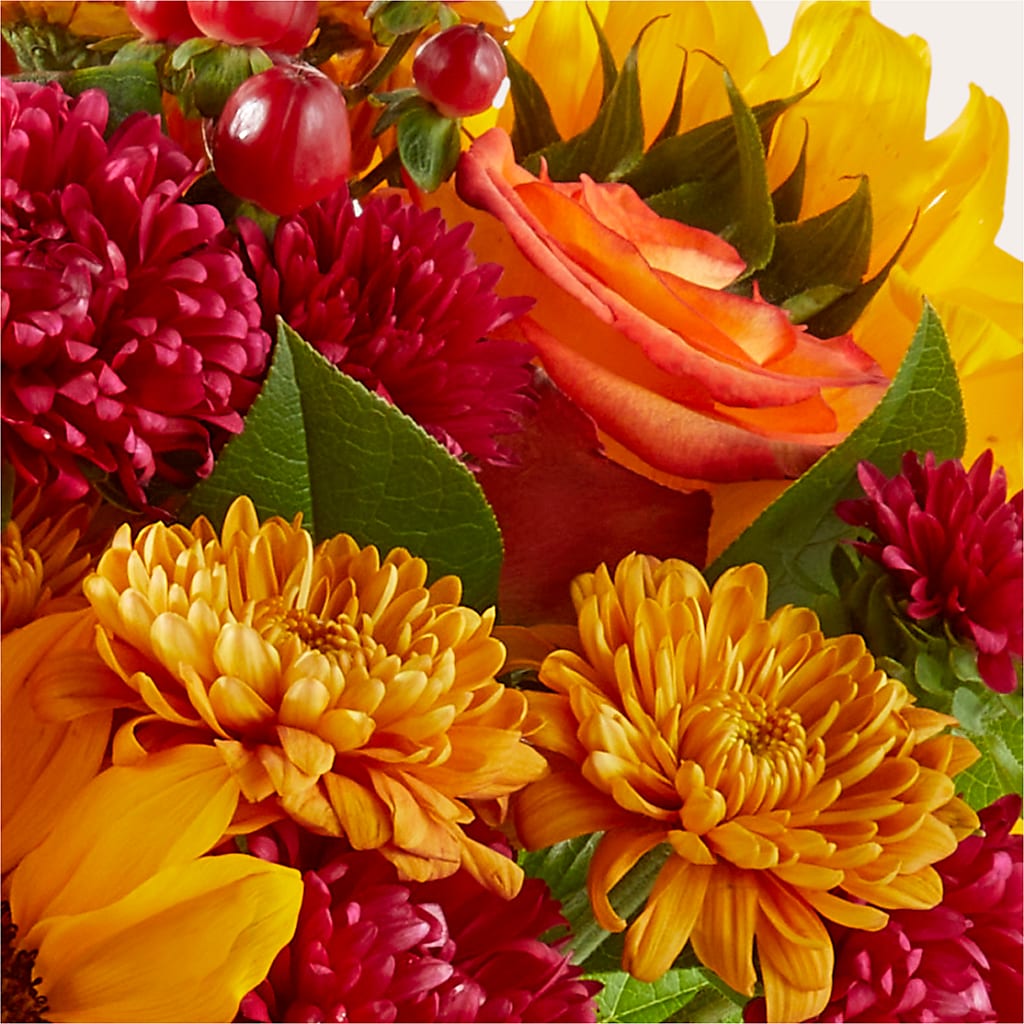 Sweater Season - A Florist Original – LAKELINE FLORIST & GIFTS, Austin TX