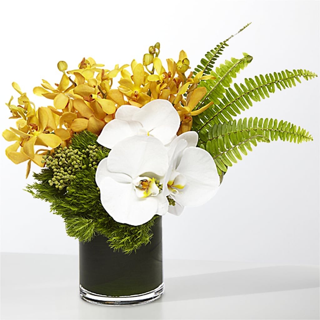 The Tropics – LAKELINE FLORIST & GIFTS, Austin TX