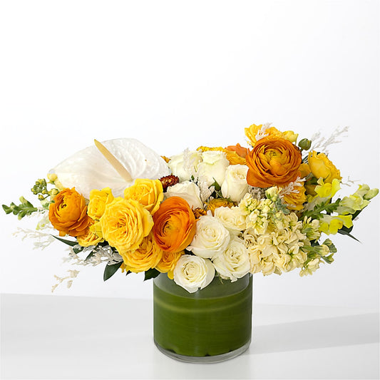 The Optimist – LAKELINE FLORIST & GIFTS, Austin TX