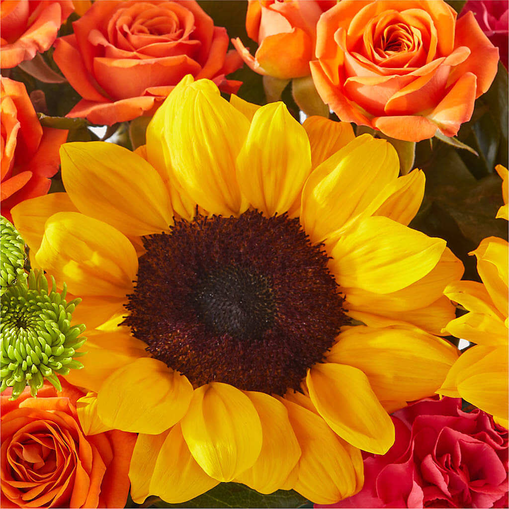 Sun-drenched Blooms Box Bouquet – LAKELINE FLORIST & GIFTS, Austin TX