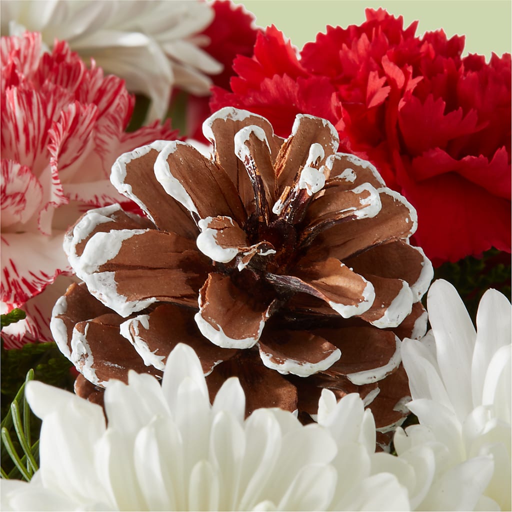 Candy Cane Lane Bouquet – LAKELINE FLORIST & GIFTS, Austin TX