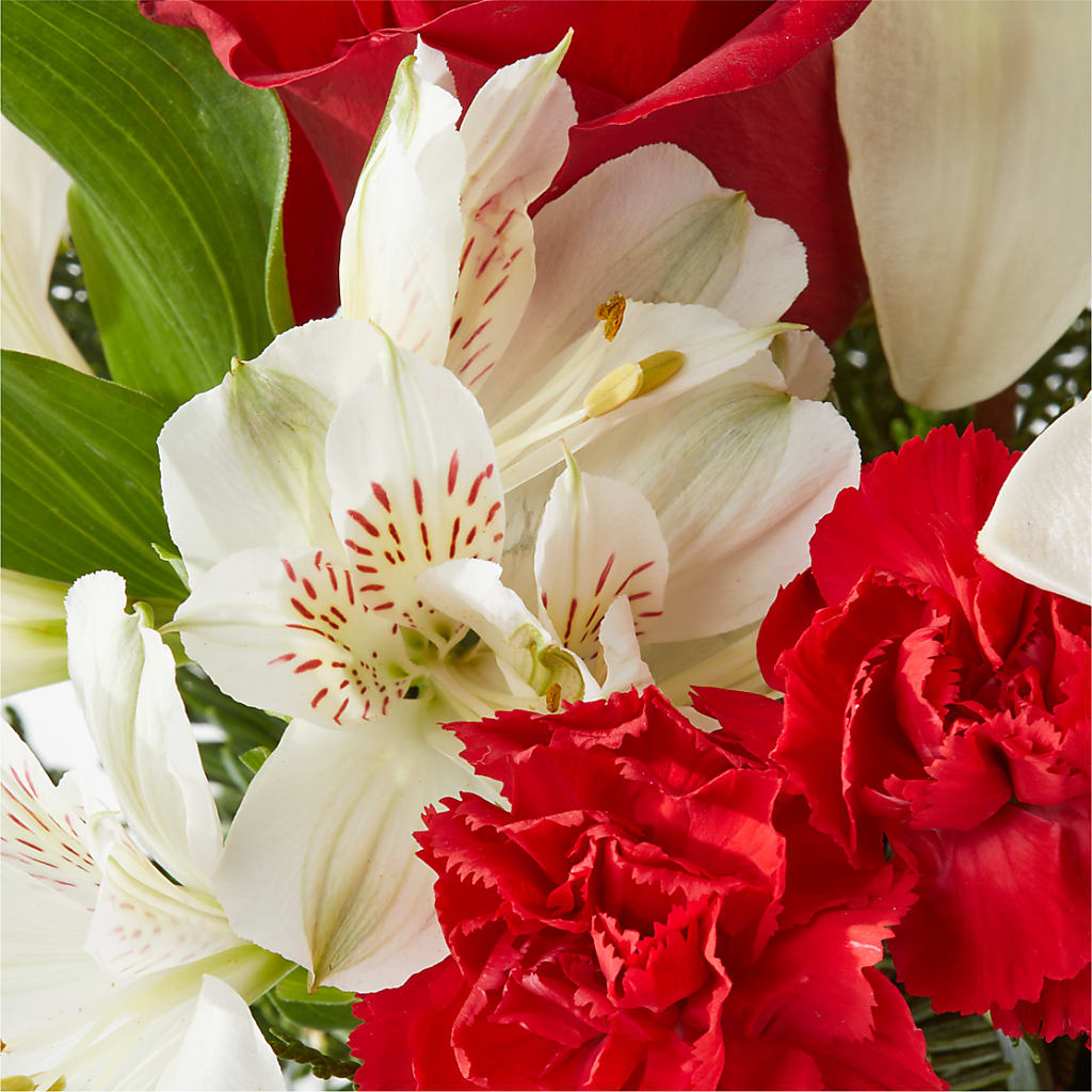 Holiday Season Bouquet – LAKELINE FLORIST & GIFTS, Austin TX