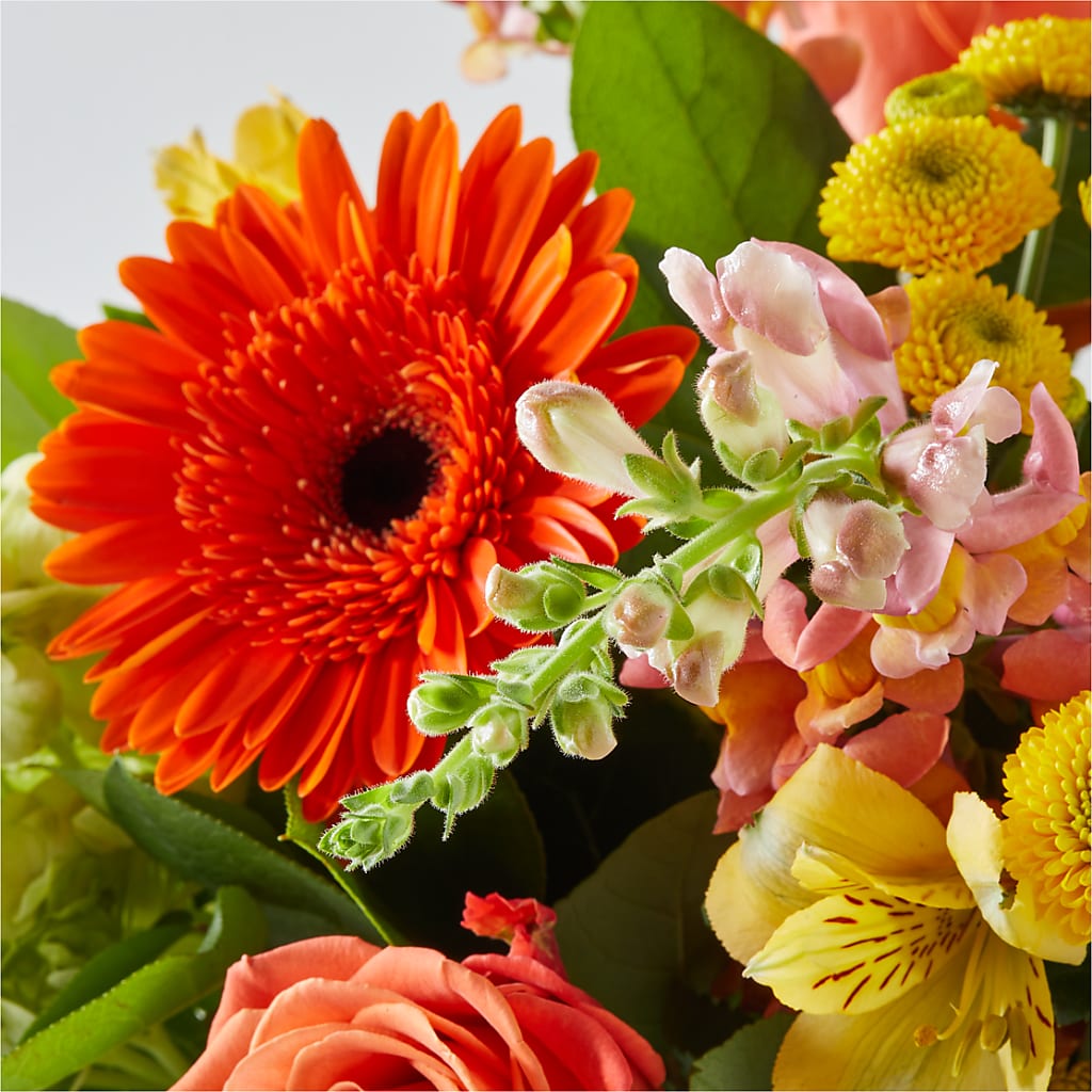 Autumn Sunshine Bouquet – LAKELINE FLORIST & GIFTS, Austin TX