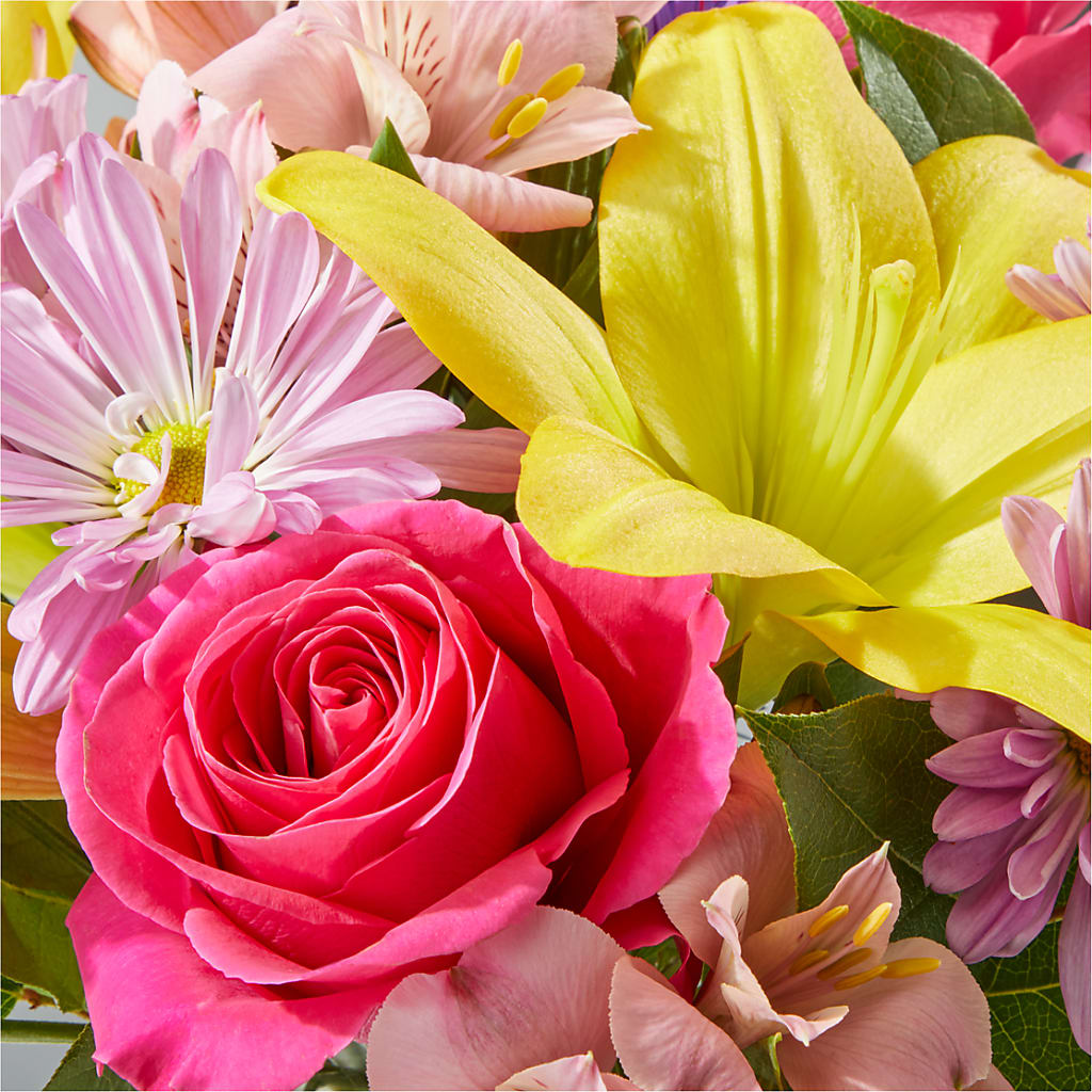 Sprinkles Bouquet – LAKELINE FLORIST & GIFTS, Austin TX