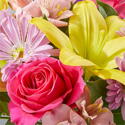 Sprinkles Bouquet – LAKELINE FLORIST & GIFTS, Austin TX
