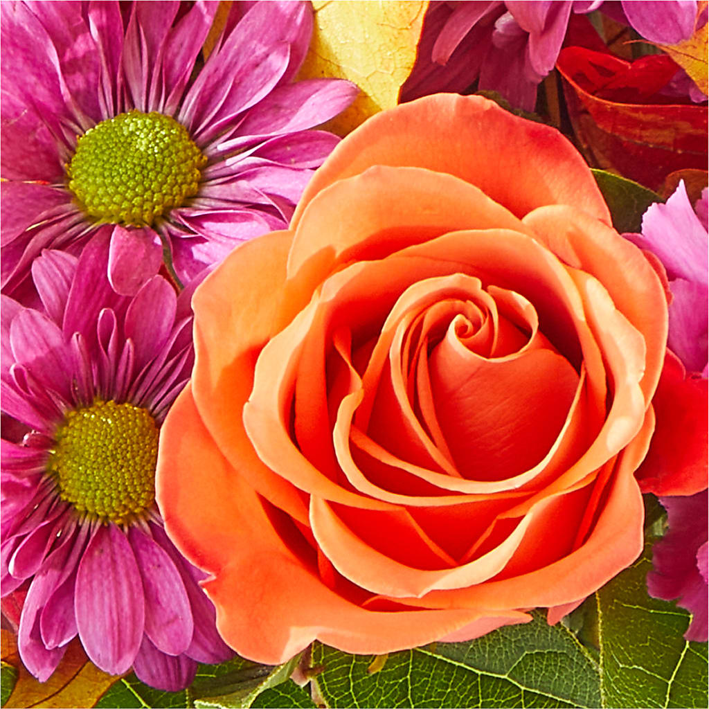 Mum's the Word Bouquet – LAKELINE FLORIST & GIFTS, Austin TX