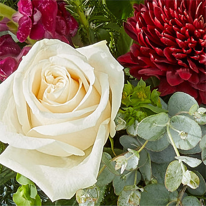 Cranberry Fizz Bouquet – LAKELINE FLORIST & GIFTS, Austin TX