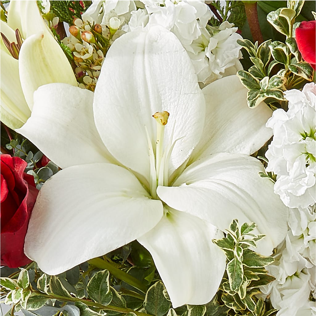 Twinkle Lights Bouquet – LAKELINE FLORIST & GIFTS, Austin TX