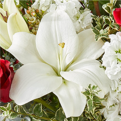 Twinkle Lights Bouquet – LAKELINE FLORIST & GIFTS, Austin TX