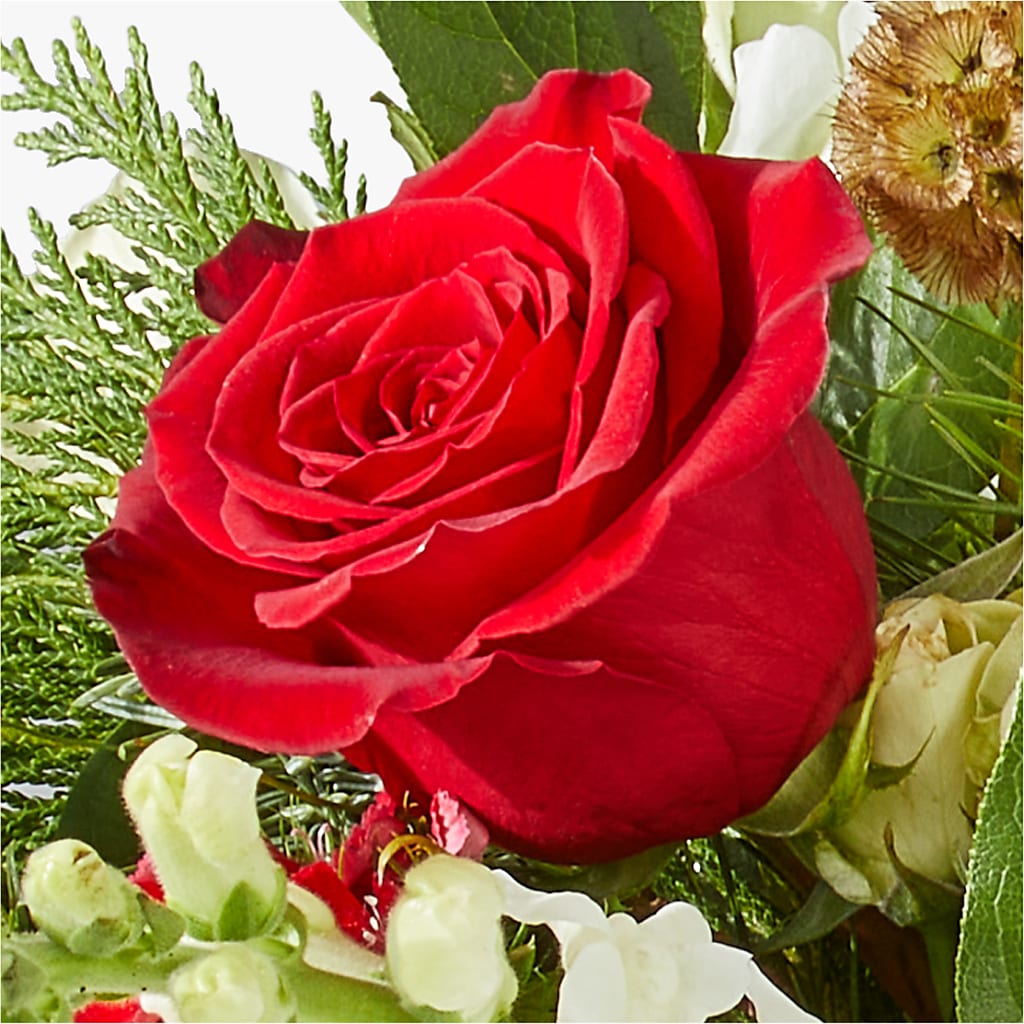 Deck the Halls Bouquet – LAKELINE FLORIST & GIFTS, Austin TX