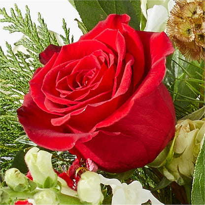 Deck the Halls Bouquet – LAKELINE FLORIST & GIFTS, Austin TX