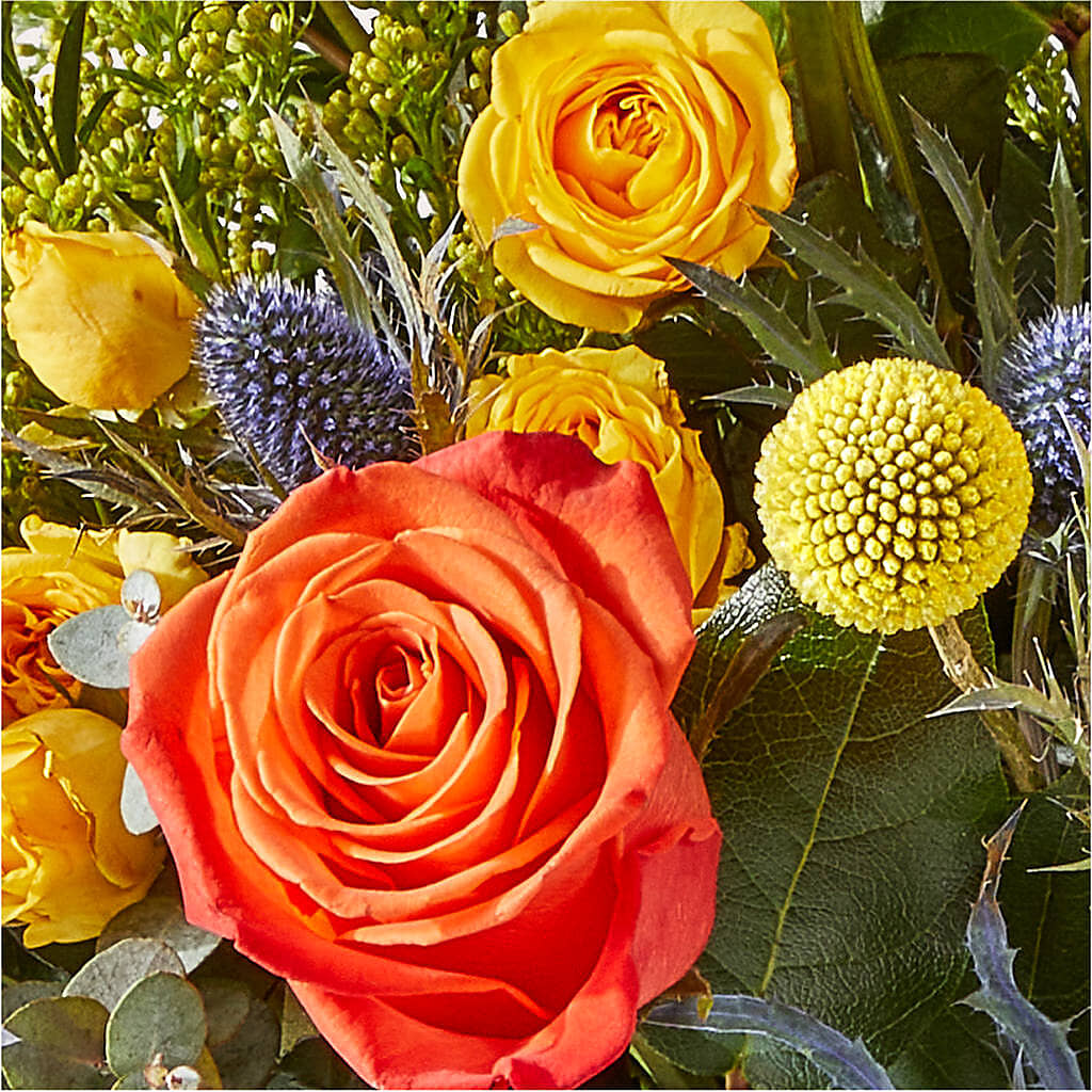 Disco Bouquet – LAKELINE FLORIST & GIFTS, Austin TX