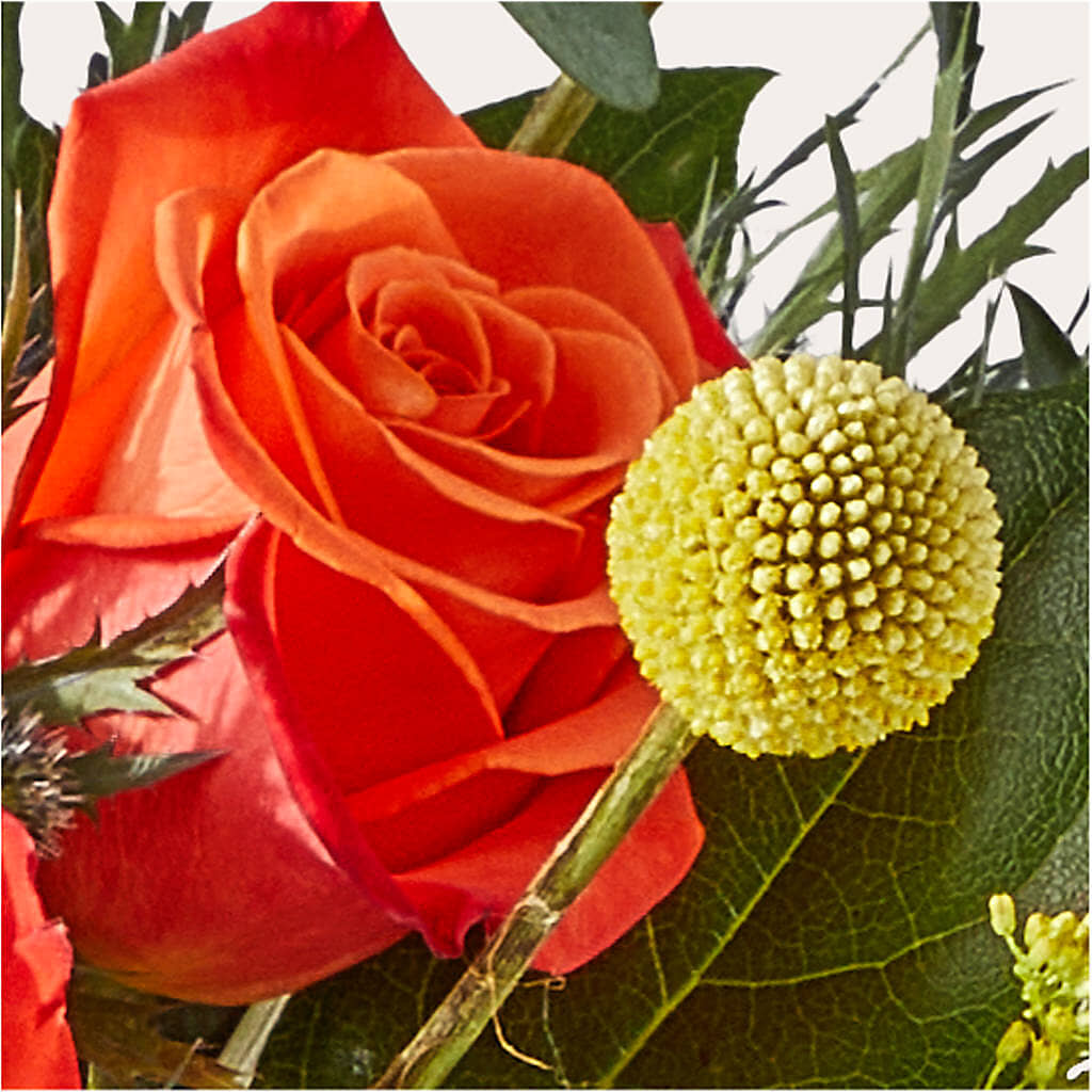 Disco Bouquet – LAKELINE FLORIST & GIFTS, Austin TX