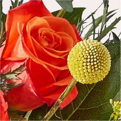 Disco Bouquet – LAKELINE FLORIST & GIFTS, Austin TX