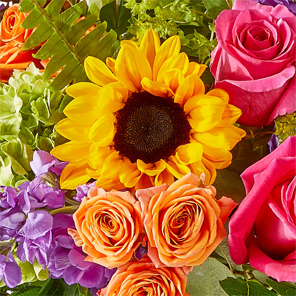 Vibrant Greetings Bouquet – LAKELINE FLORIST & GIFTS, Austin TX