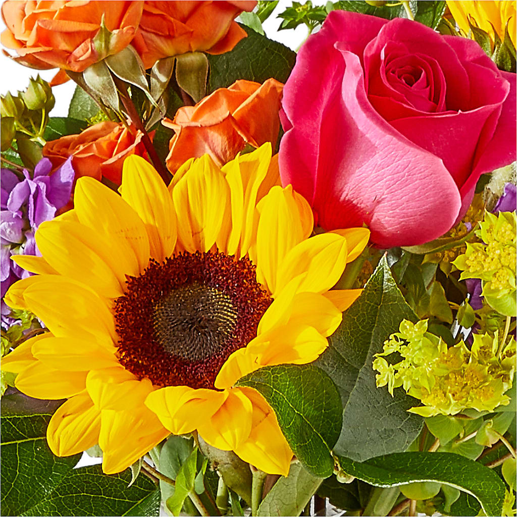 Vibrant Greetings Bouquet – LAKELINE FLORIST & GIFTS, Austin TX