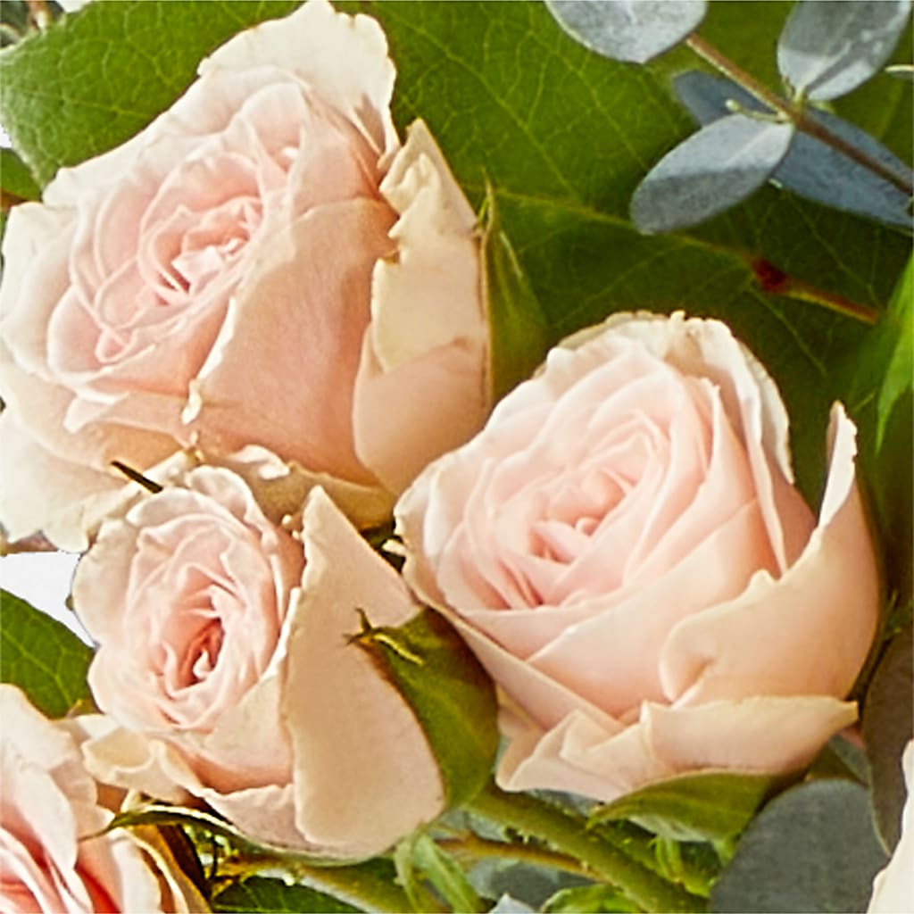 Inspired Bouquet – LAKELINE FLORIST & GIFTS, Austin TX