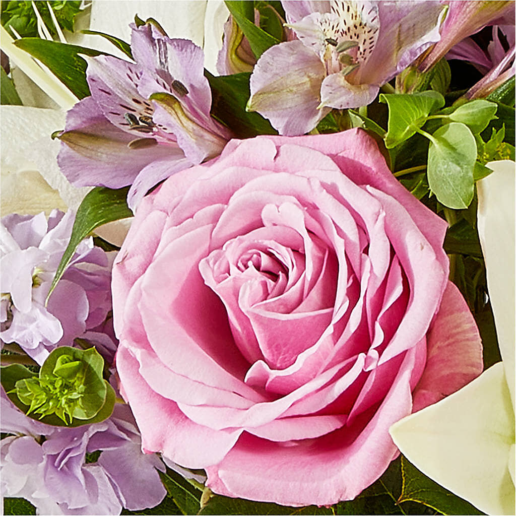 Daydreamer Bouquet – LAKELINE FLORIST & GIFTS, Austin TX