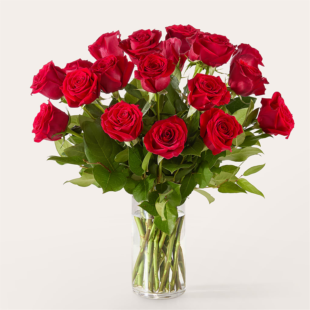 The One Red Rose Bouquet – LAKELINE FLORIST & GIFTS, Austin TX