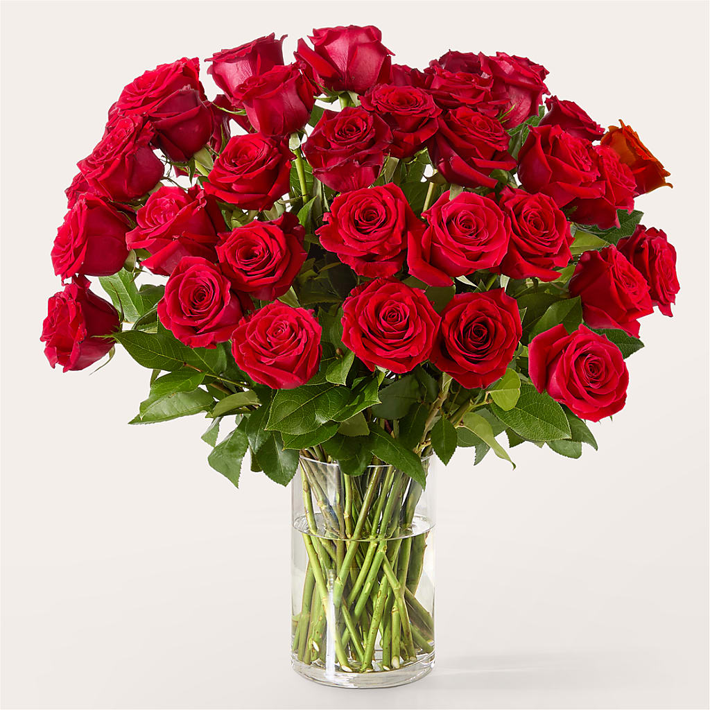 The One Red Rose Bouquet – LAKELINE FLORIST & GIFTS, Austin TX