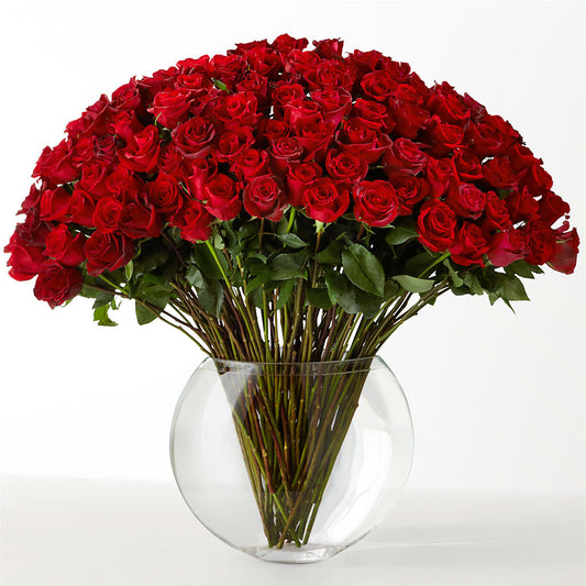 The Idealist – LAKELINE FLORIST & GIFTS, Austin TX