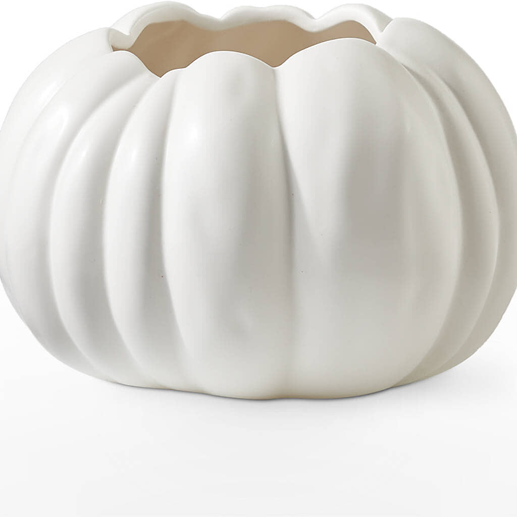 Autumn Air Pumpkin Bouquet – LAKELINE FLORIST & GIFTS, Austin TX